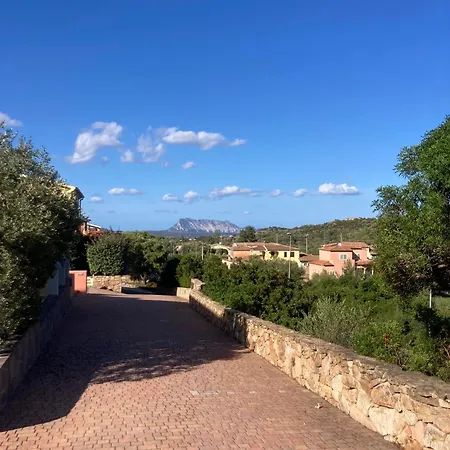 Grazioso Monolocale Con Vista Su Tavolara