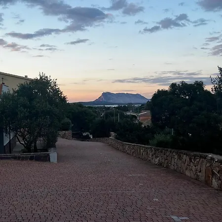 Appartement Grazioso Monolocale Con Vista Su Tavolara *